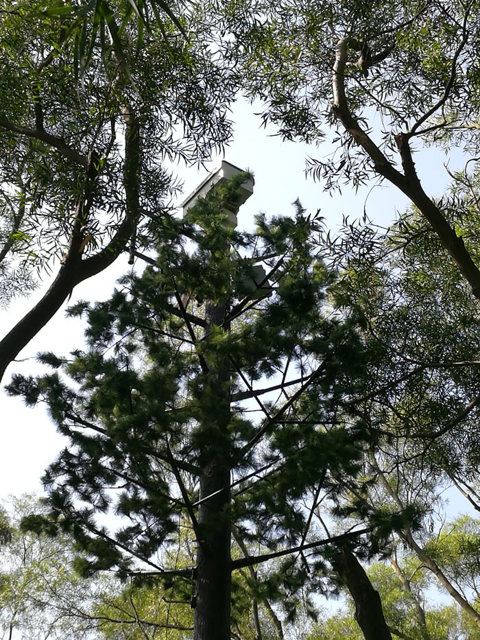 ?森林火災(zāi)風(fēng)險普查工作任重而道遠(yuǎn)，華瑞通發(fā)揮行業(yè)優(yōu)勢